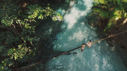 [2026 Official Reservation] 8D7N Raja Ampat Whale Shark Manta Ray Diving Liveaboard Trip